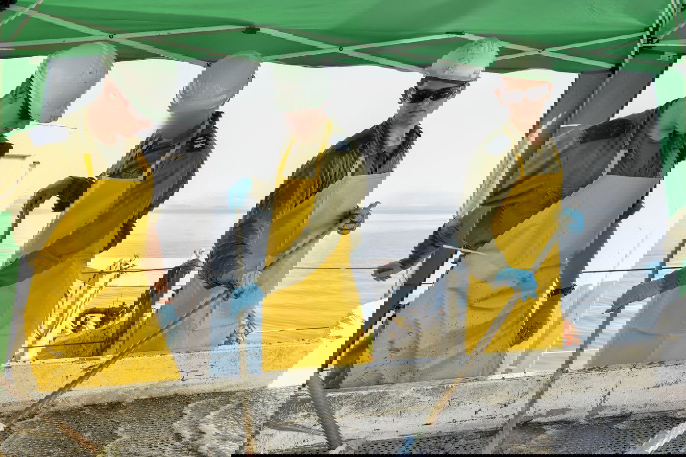 לאחר 56 שנה: אותרה גופת הטייס הישראלי