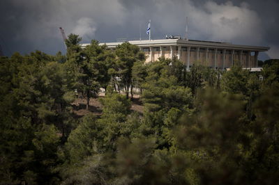 ירושלים של גשם • גלריה באפור ירוק