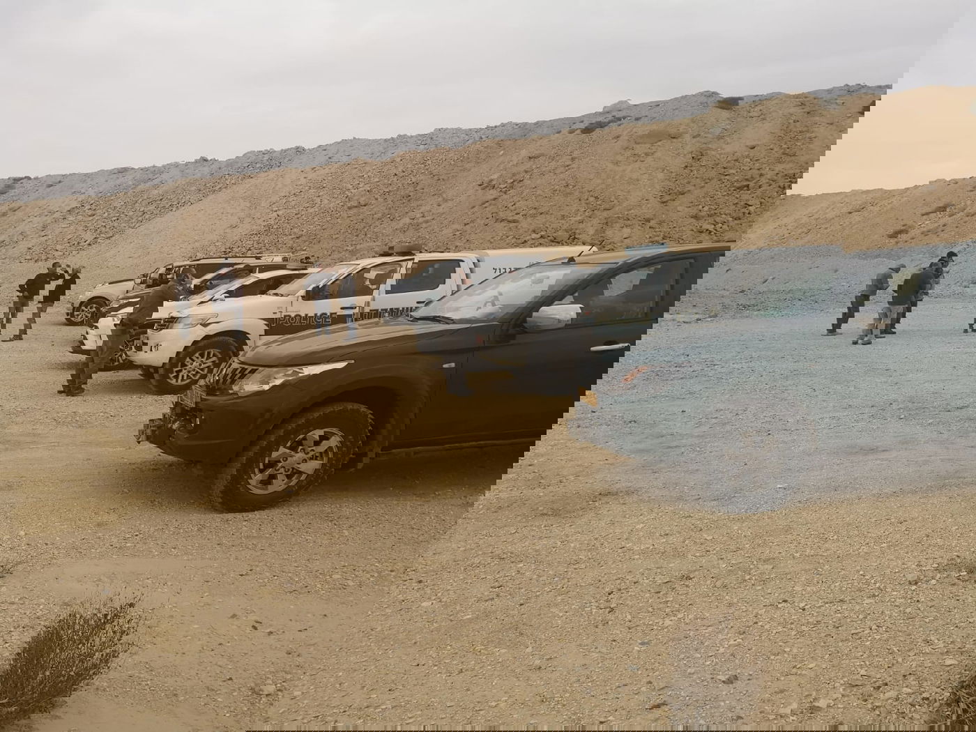 מבצע משטרתי: 22 גמלים משוטטים נתפסו