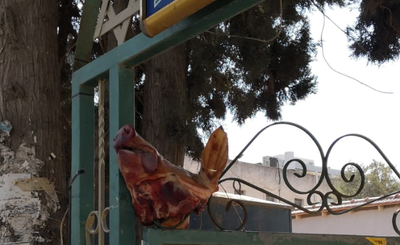 ראש החזיר, ביום שישי