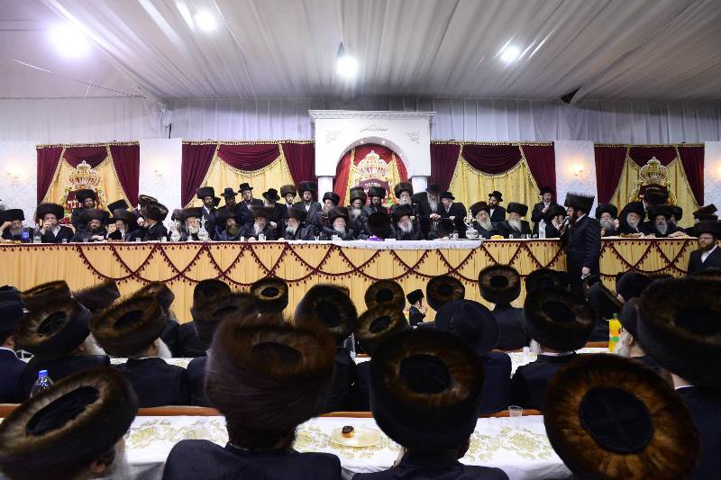 החסידים צהלו: חתונת בן הזקונים בנדבורנה