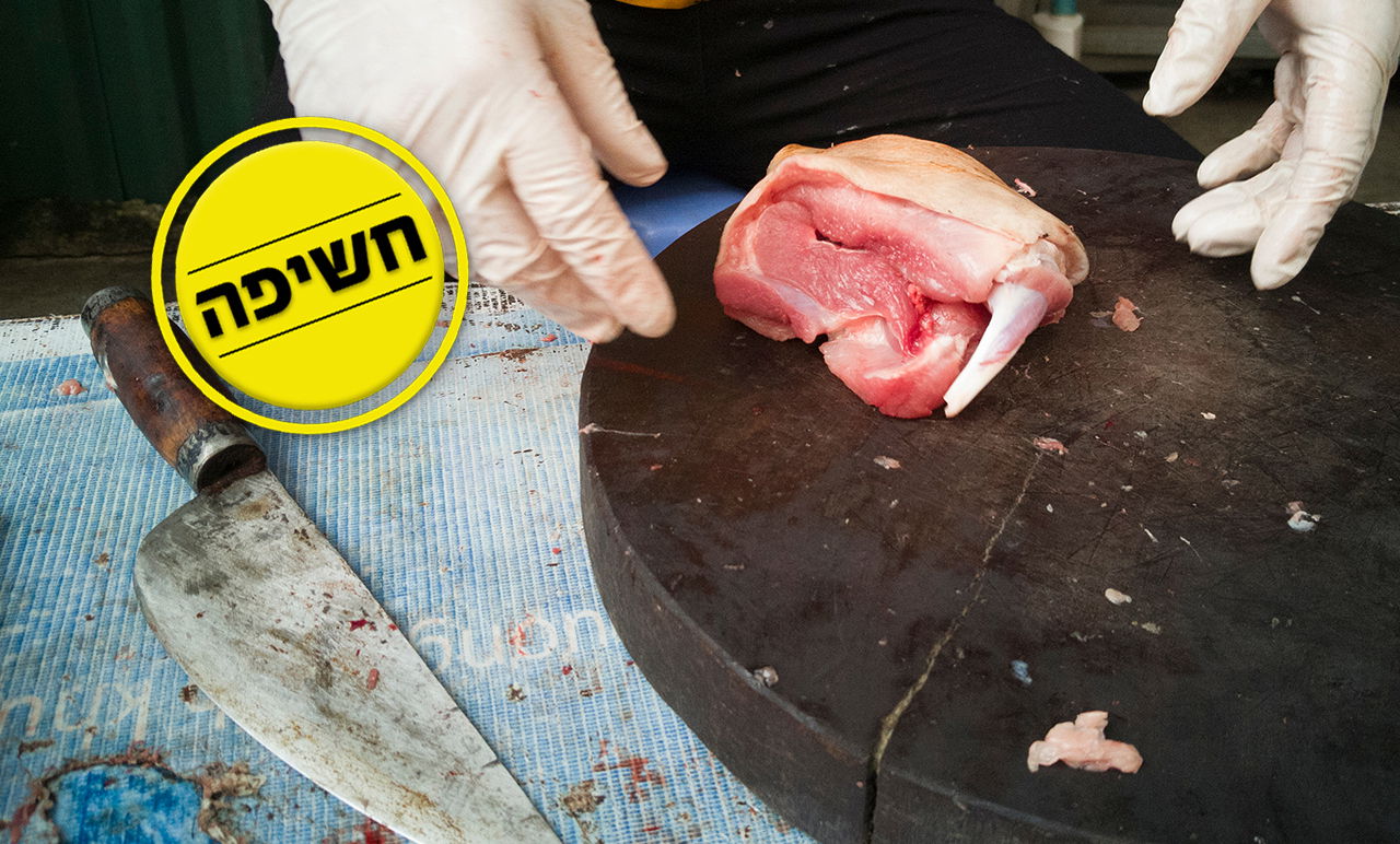 אילוסטרציה