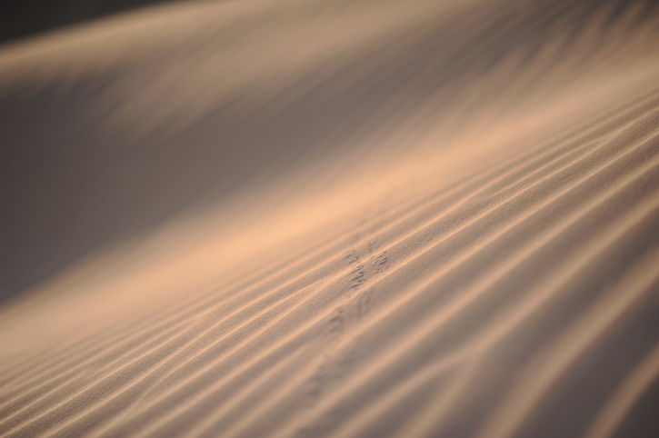 נופי עמק צין דרך עדשת המצלמה • גלריה