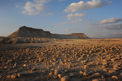 הר צין בעמק צין שבנגב