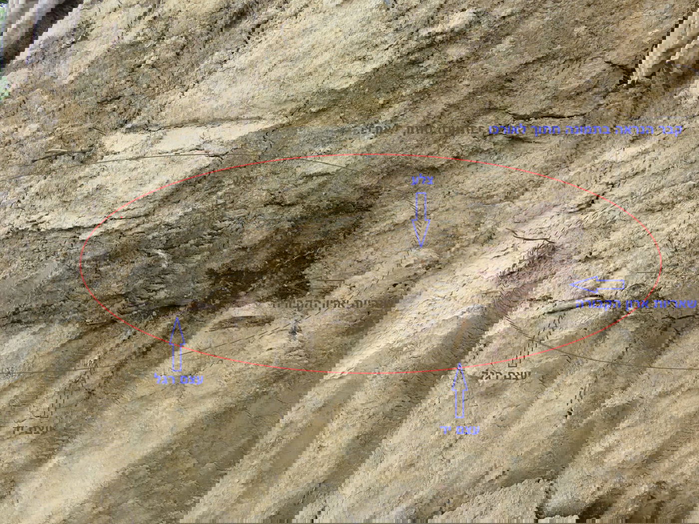 הממצאים בשטח