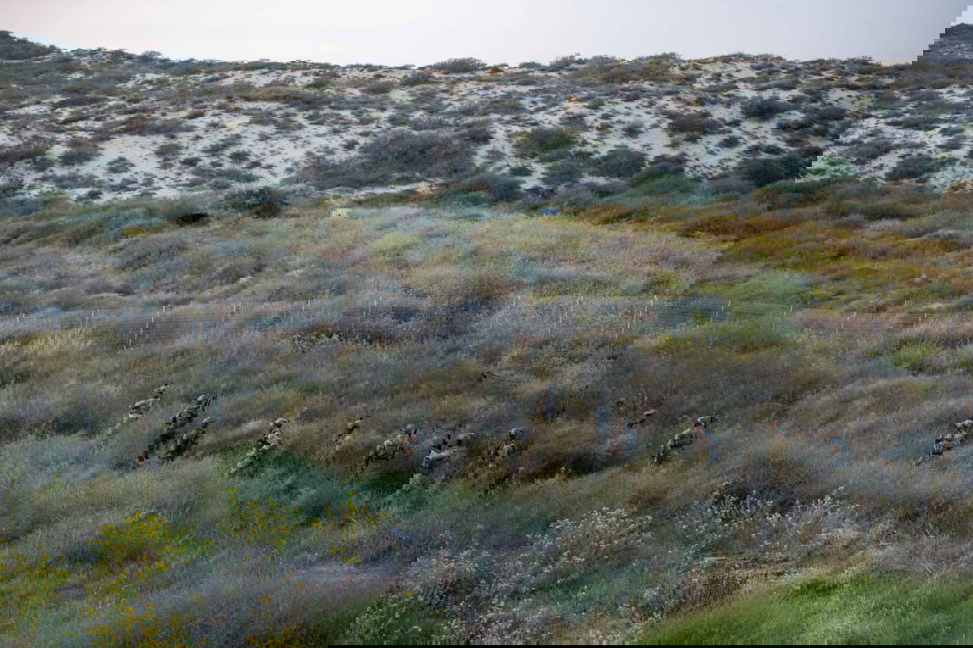 "מלאכי השמים": צפו בתרגיל החילוץ הבינלאומי