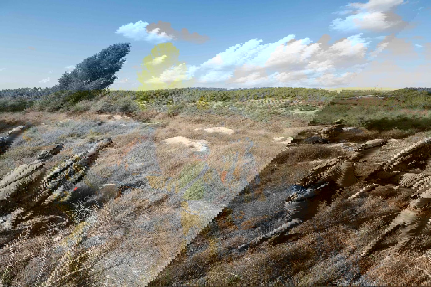 "מלאכי השמים": צפו בתרגיל החילוץ הבינלאומי