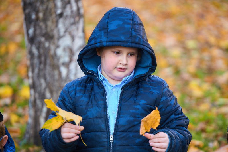 צפו: שלושה פארקים חדשים בשכונה היהודית