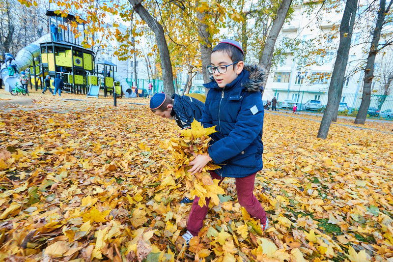 צפו: שלושה פארקים חדשים בשכונה היהודית