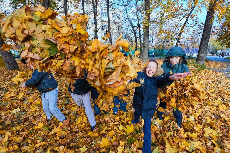 צפו: שלושה פארקים חדשים בשכונה היהודית