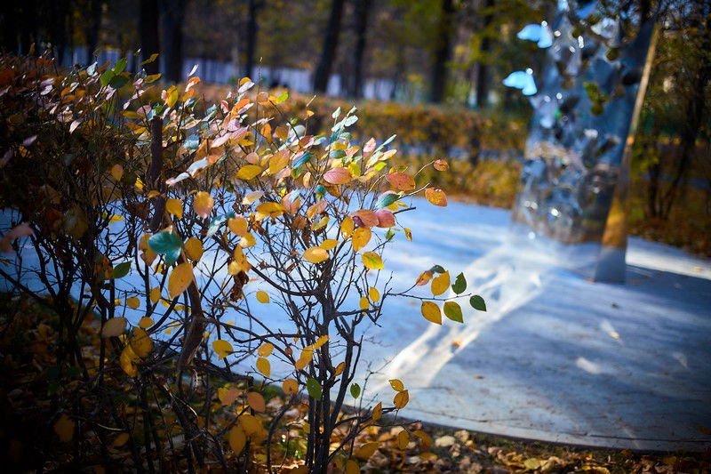 צפו: שלושה פארקים חדשים בשכונה היהודית