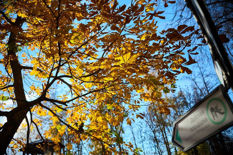 צפו: שלושה פארקים חדשים בשכונה היהודית