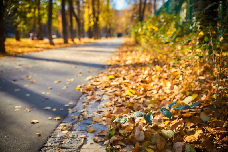 צפו: שלושה פארקים חדשים בשכונה היהודית