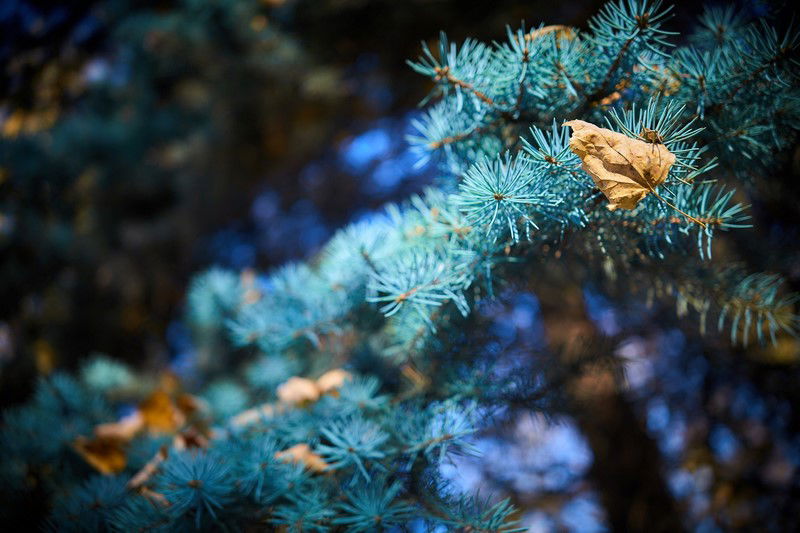 צפו: שלושה פארקים חדשים בשכונה היהודית
