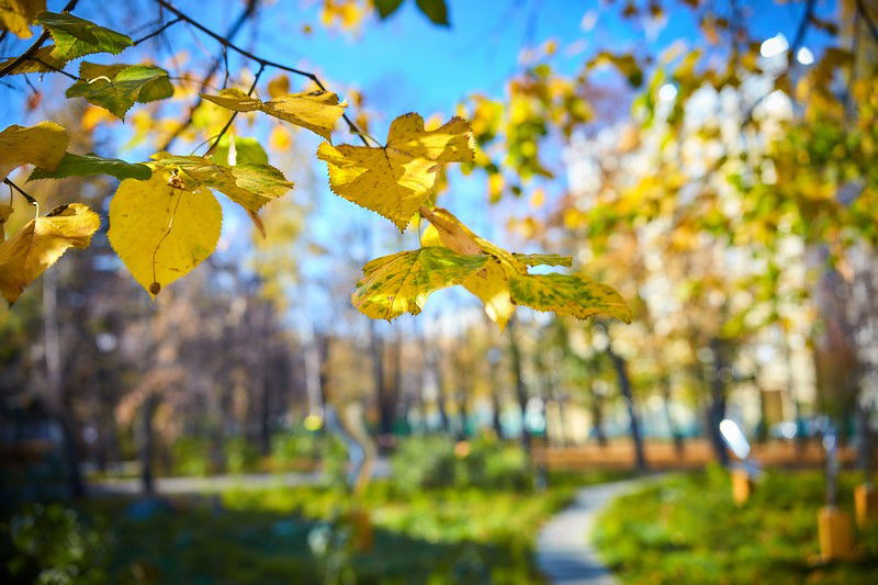 צפו: שלושה פארקים חדשים בשכונה היהודית