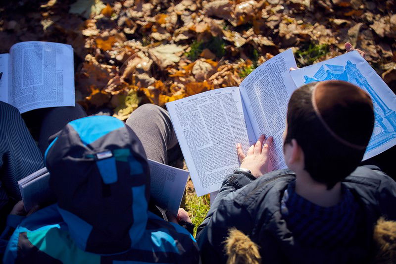 צפו: שלושה פארקים חדשים בשכונה היהודית