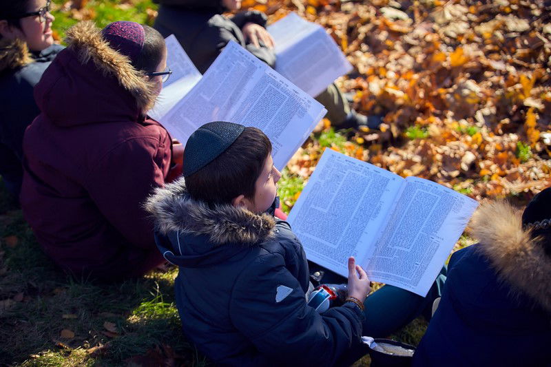 צפו: שלושה פארקים חדשים בשכונה היהודית