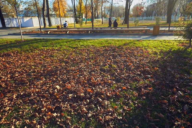 צפו: שלושה פארקים חדשים בשכונה היהודית