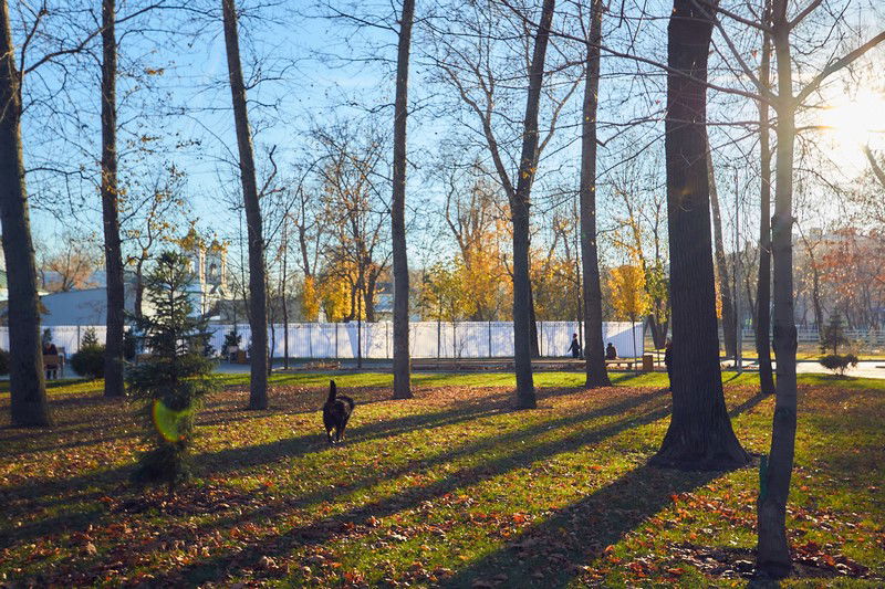 צפו: שלושה פארקים חדשים בשכונה היהודית