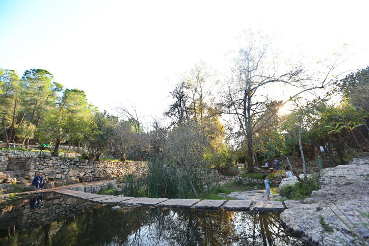 עין חמד הסמוך לירושלים השבוע