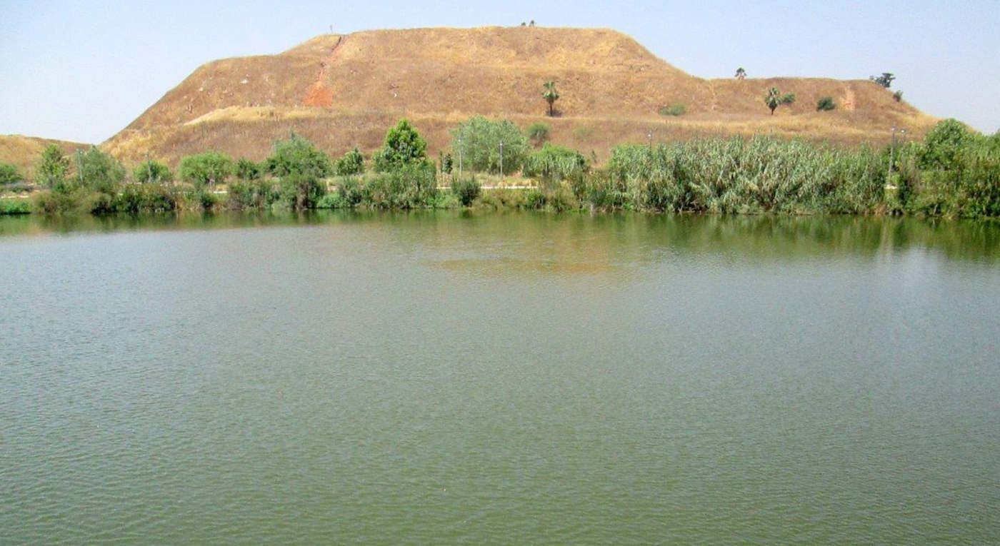 פארק הרצליה