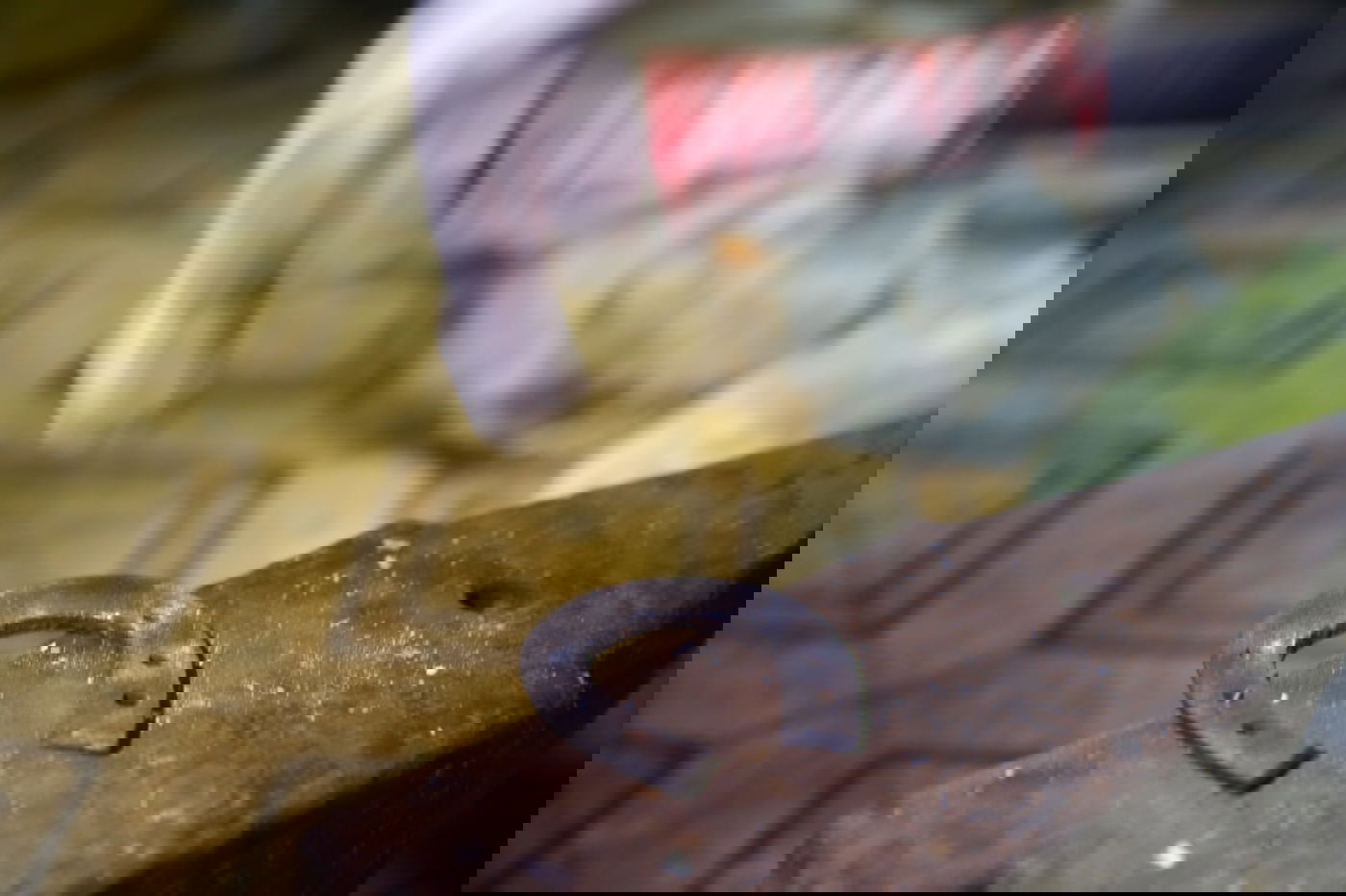 האספן החרדי שהתאהב ב...פרסות סוסים