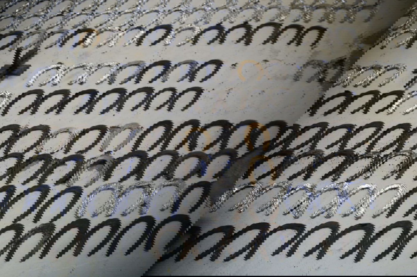 האספן החרדי שהתאהב ב...פרסות סוסים