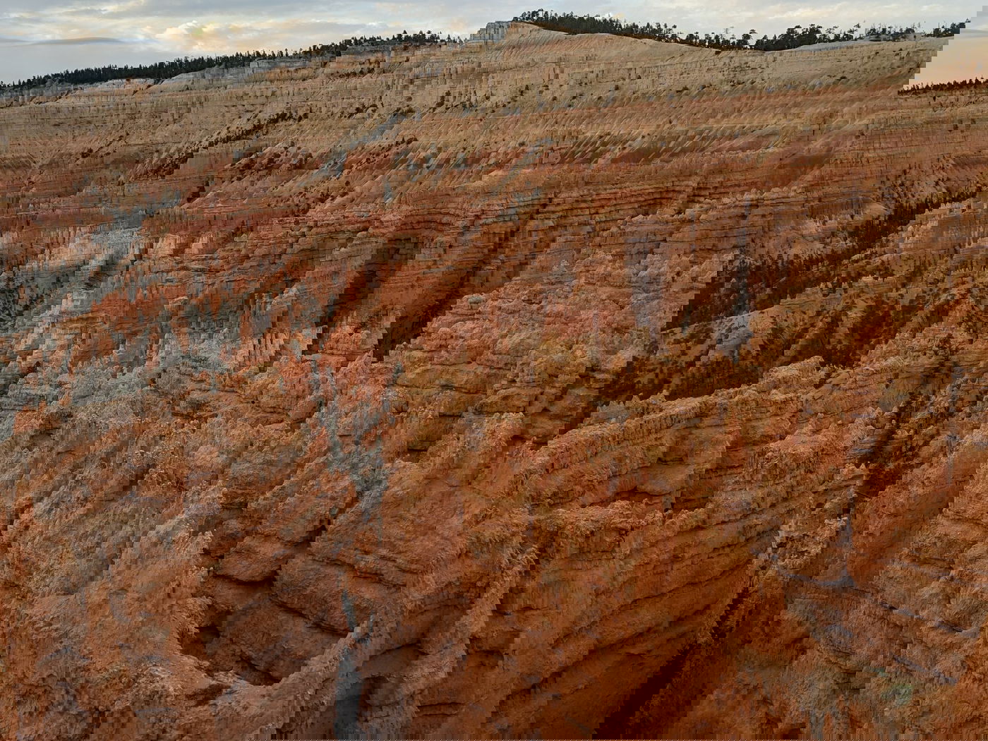 הברייס קניון בארה"ב בגלריה מרהיבה • צפו