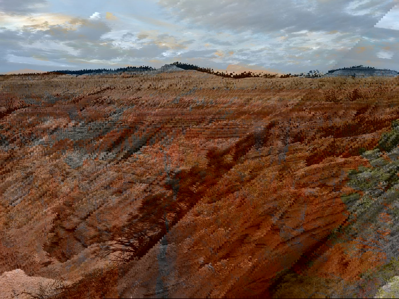 הברייס קניון בארה"ב בגלריה מרהיבה • צפו