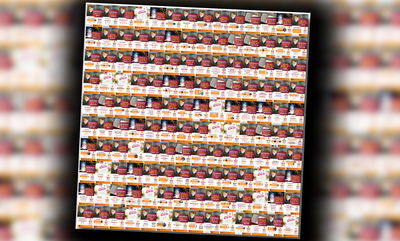 מאות ההתוועדויות