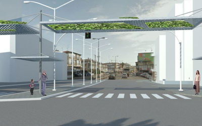 הדמיית הקירוי