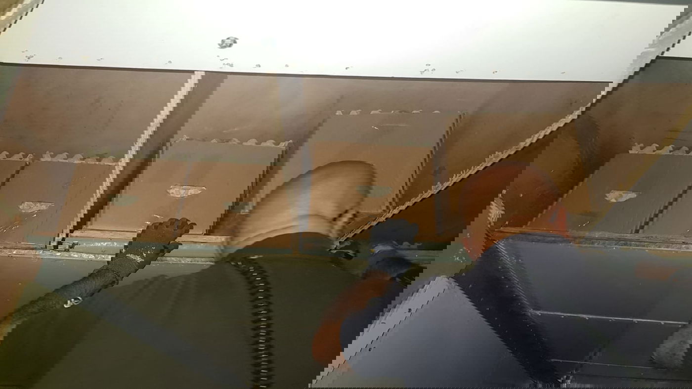 לוחמי מג"ב סיכלו הברחת 18.000 ביצים מסוכנות