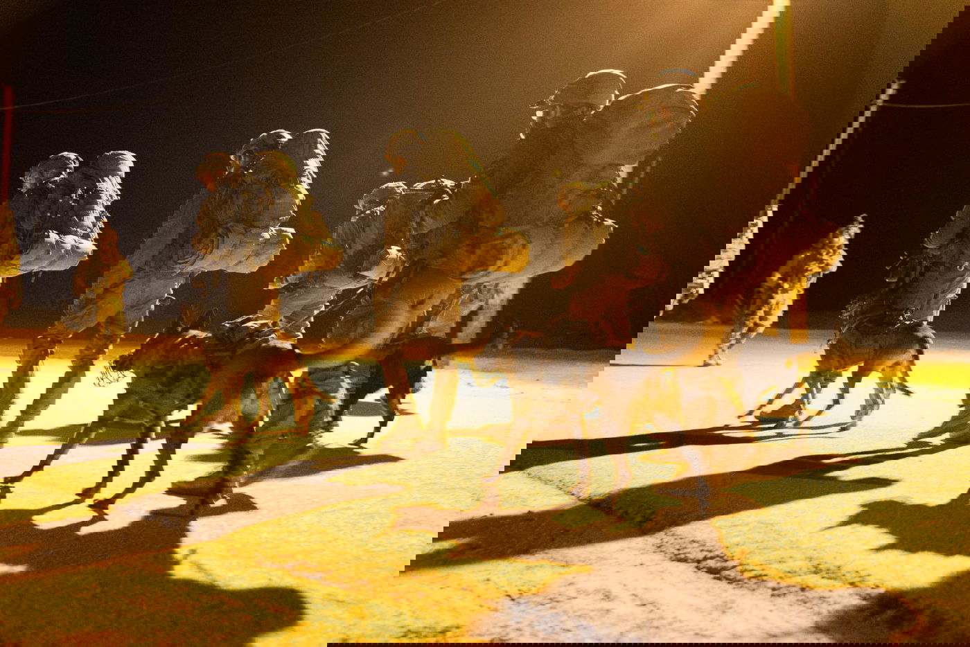 כלבים ולוחמים בתרגיל מיוחד ביחידת 'עוקץ'