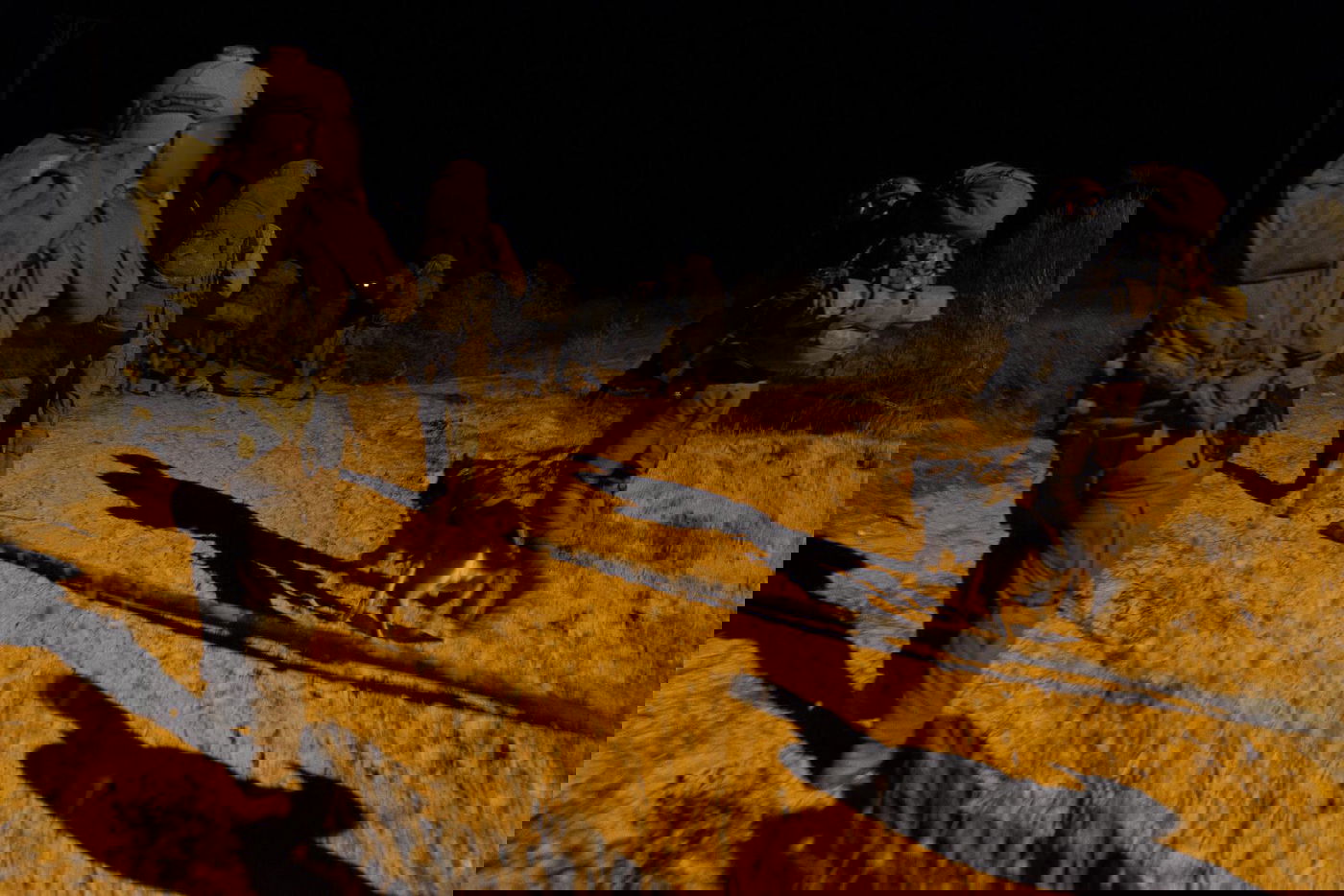 כלבים ולוחמים בתרגיל מיוחד ביחידת 'עוקץ'