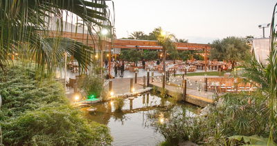 הפקת חתונה יוקרתית באולם שובר שיוויון