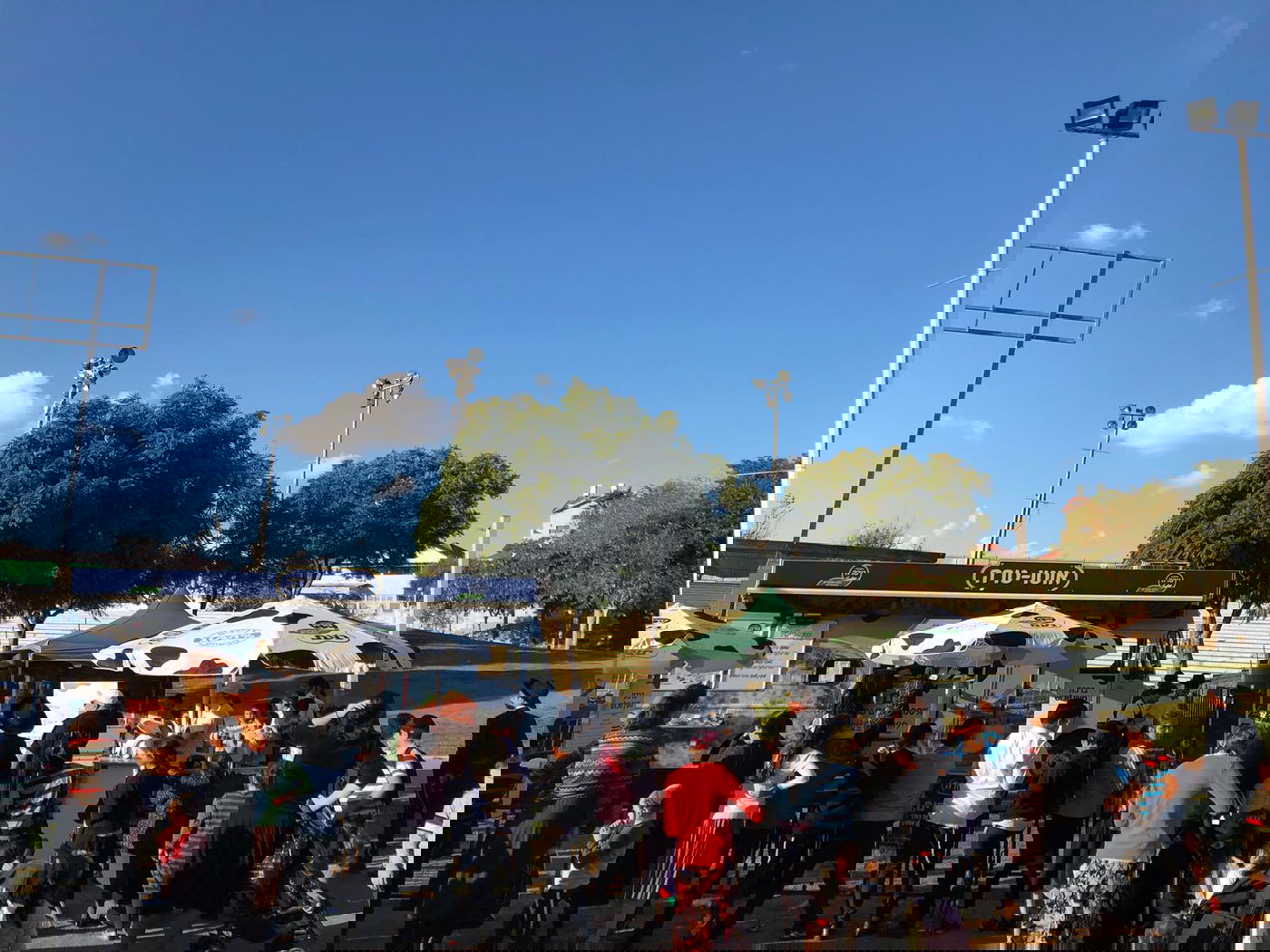 עשרות אלפי פיצות, טוסטים ושוקו מחולקים ברחבי הארץ!