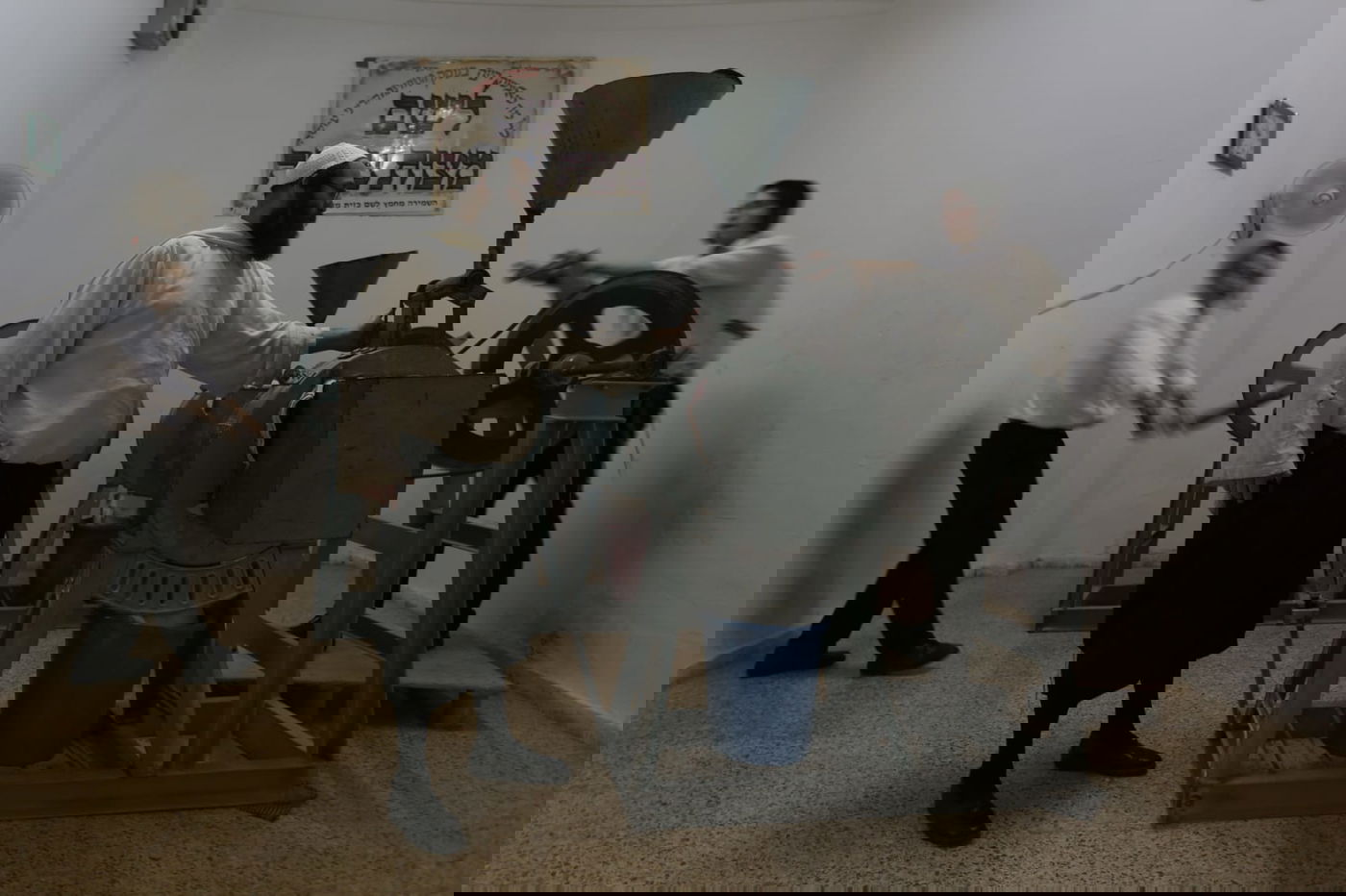 כך טוחנים חיטים עבור המצות • גלריה