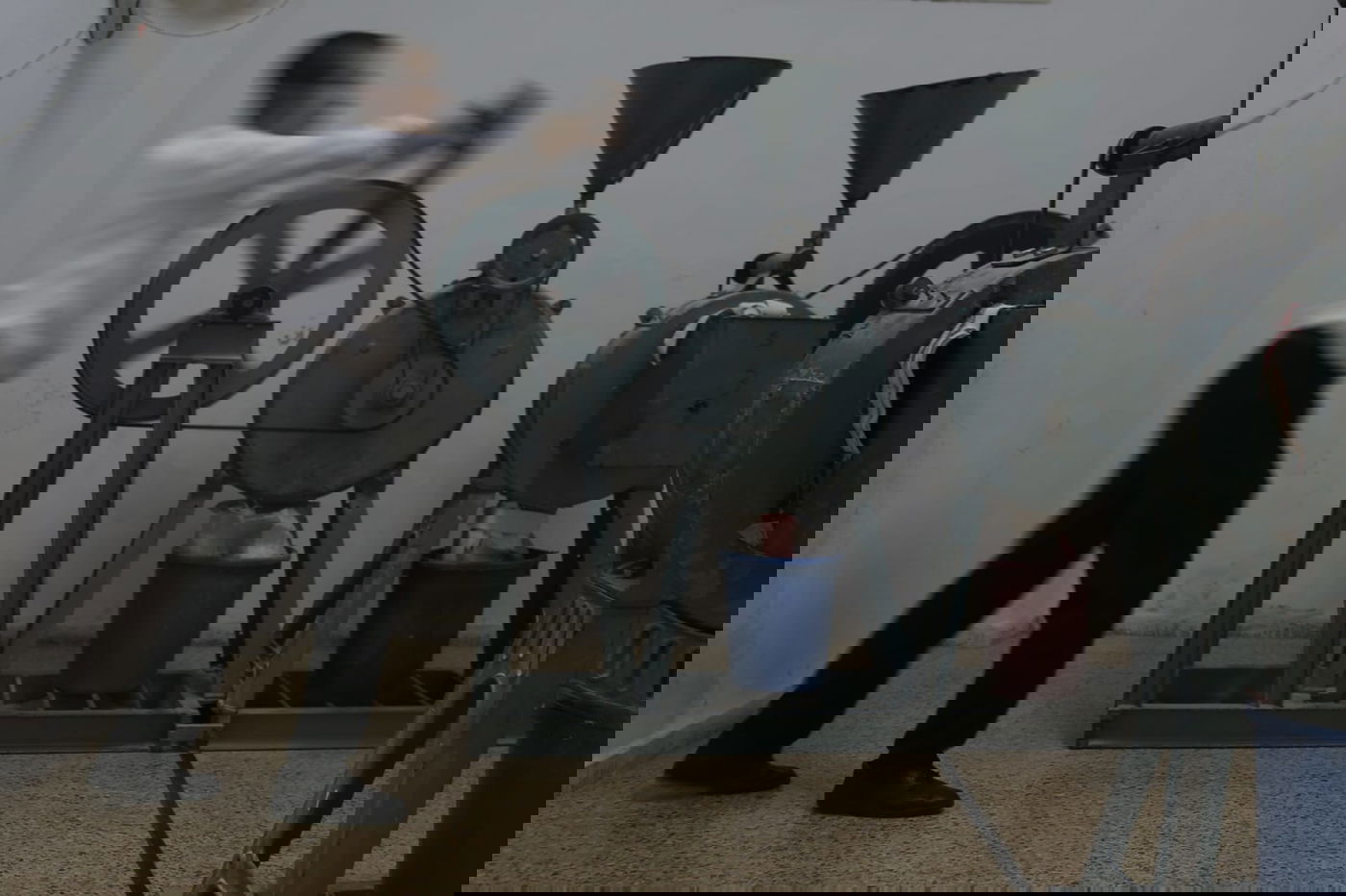 כך טוחנים חיטים עבור המצות • גלריה