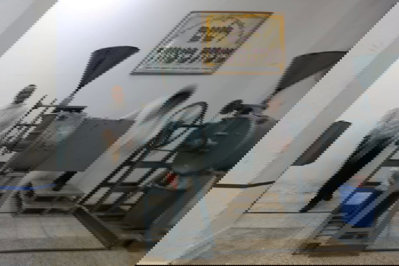 כך טוחנים חיטים עבור המצות • גלריה