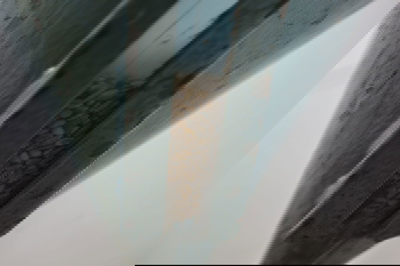 כך טוחנים חיטים עבור המצות • גלריה