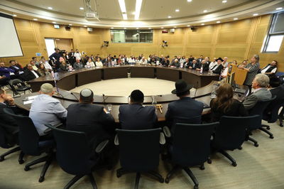 הקמת השדולה