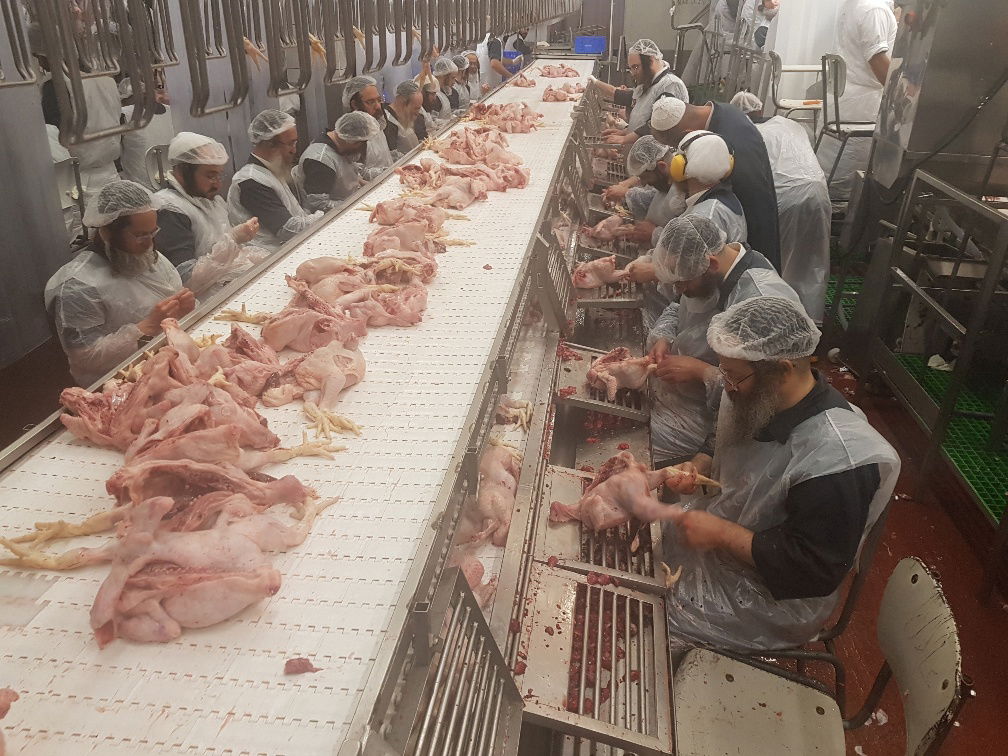 שולחן הבדיקה, העופות מורדים מהליין כדי לא לייצר לחץ לבודקים