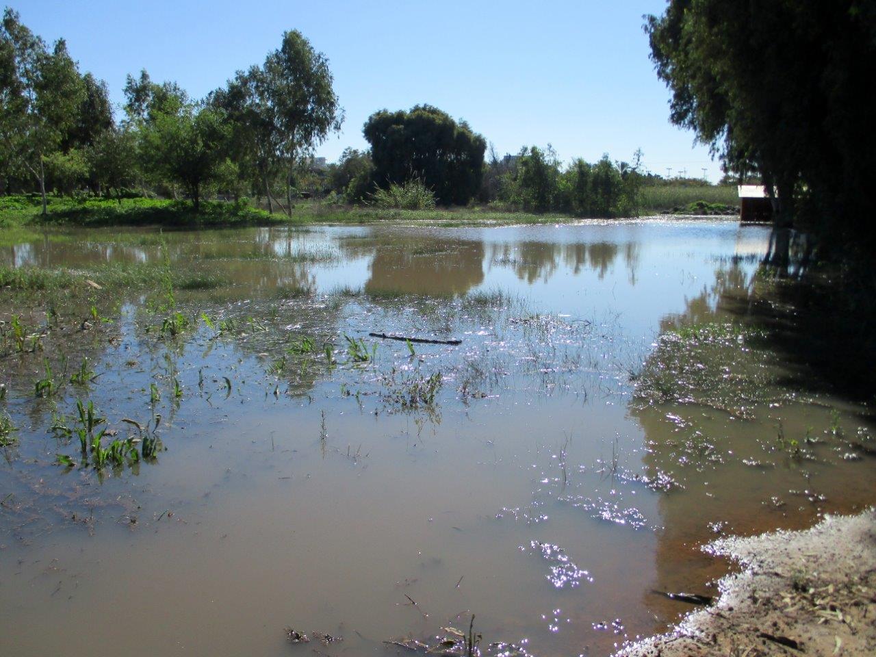 פארק הרצליה המוצף • גלריה חורפית