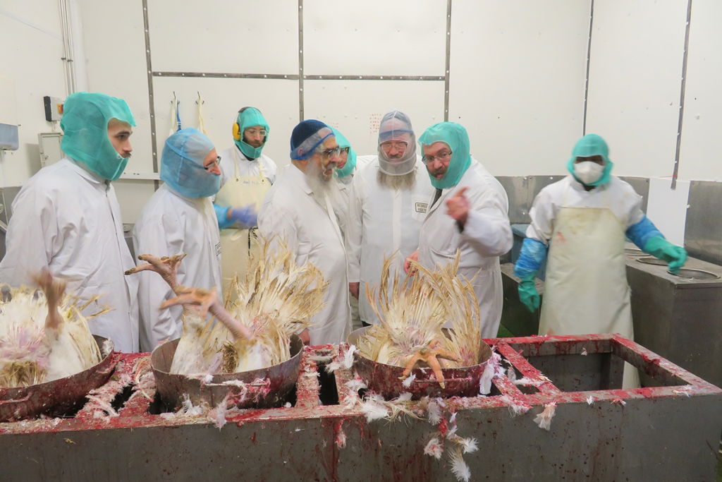 ביקור האדמו"ר מסאטמר בלונדון • גלריה