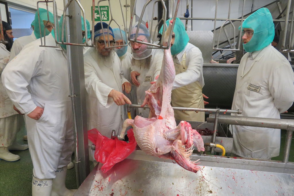 ביקור האדמו"ר מסאטמר בלונדון • גלריה