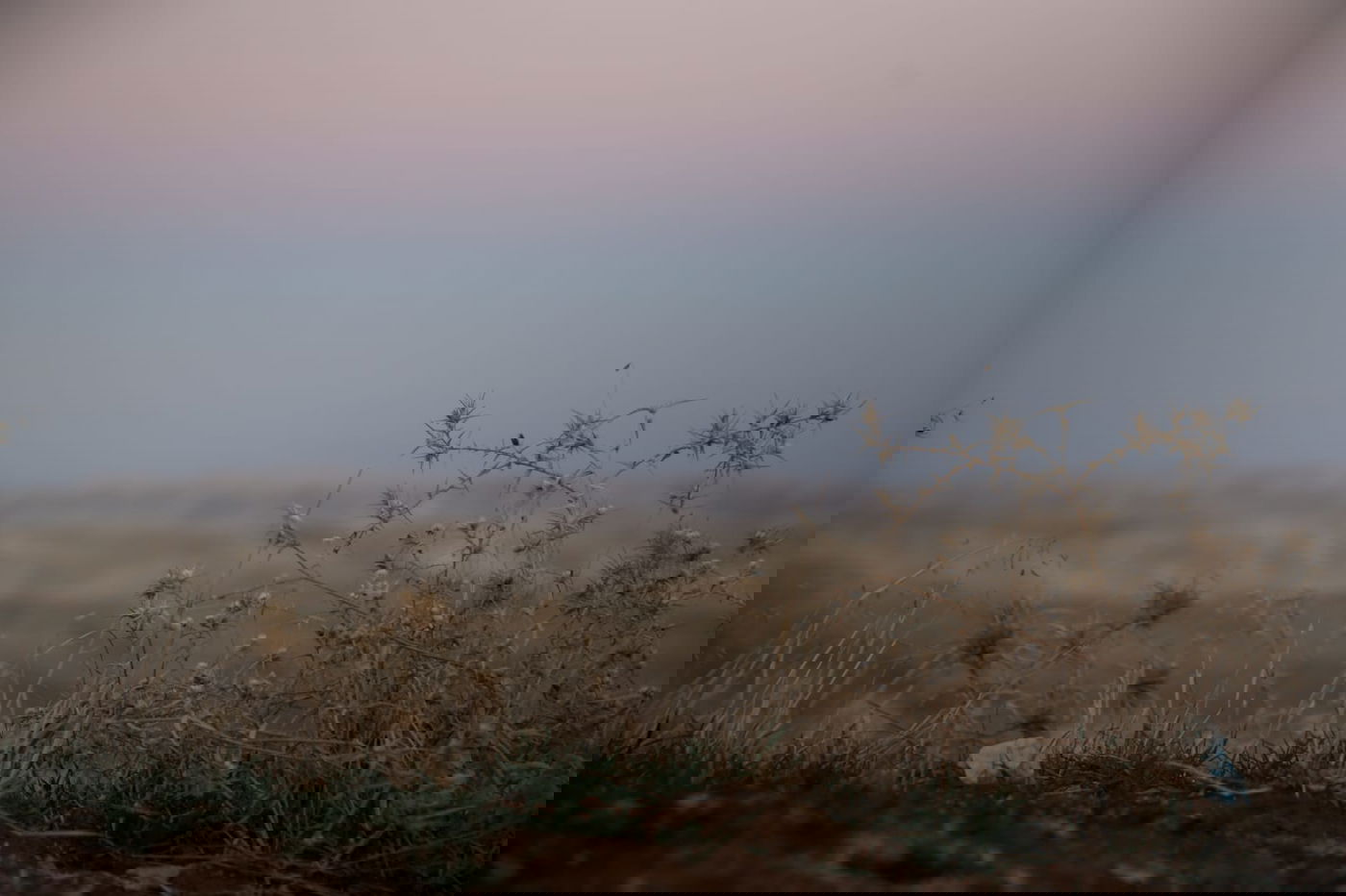 תיעוד מרהיב של הרי מדבר יהודה וים המלח