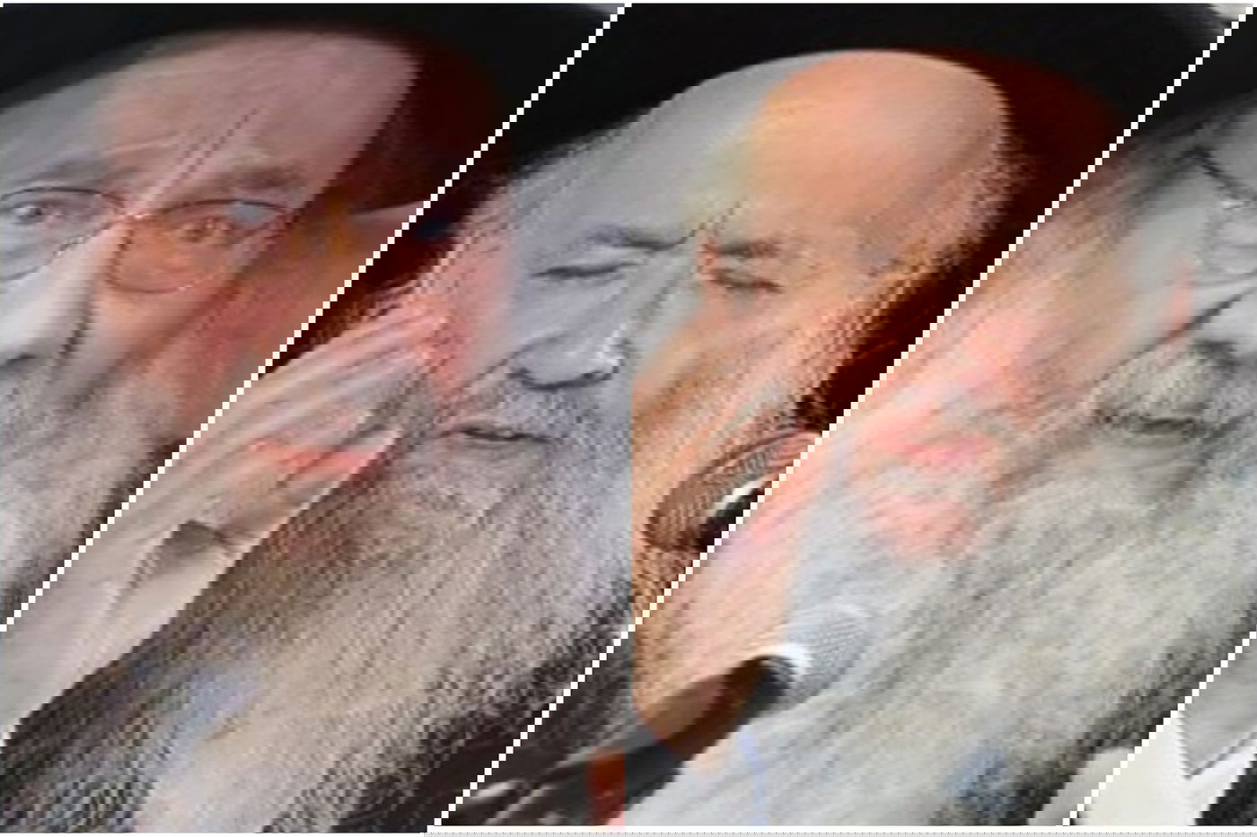 הרבנים סולובייצ'יק ואפרתי