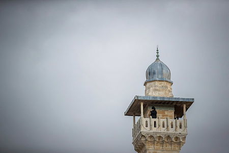 אילוסטרציה