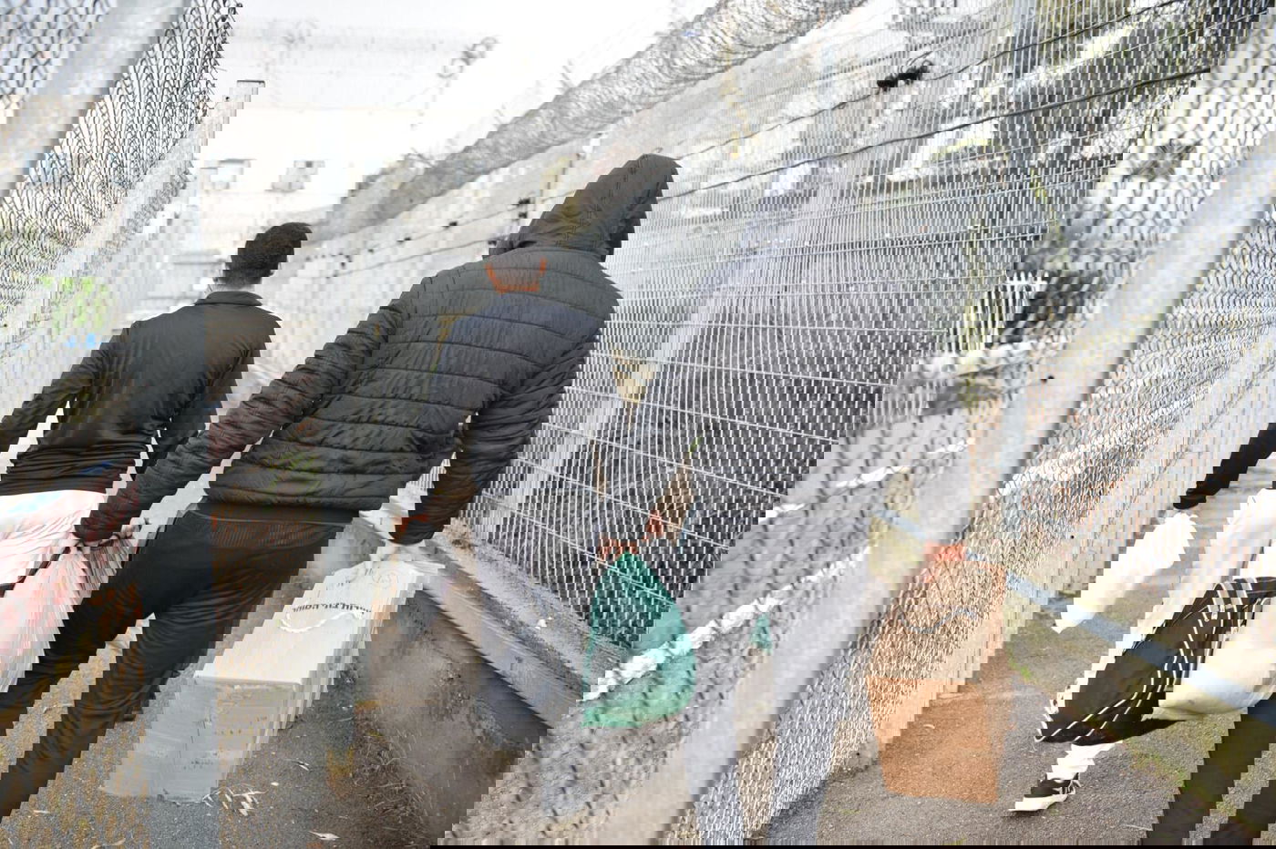 כך שוחררו מאות אסירים מבתי הכלא •  צפו