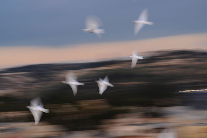 ירושלים של זהב ושל נופים  • גלריה
